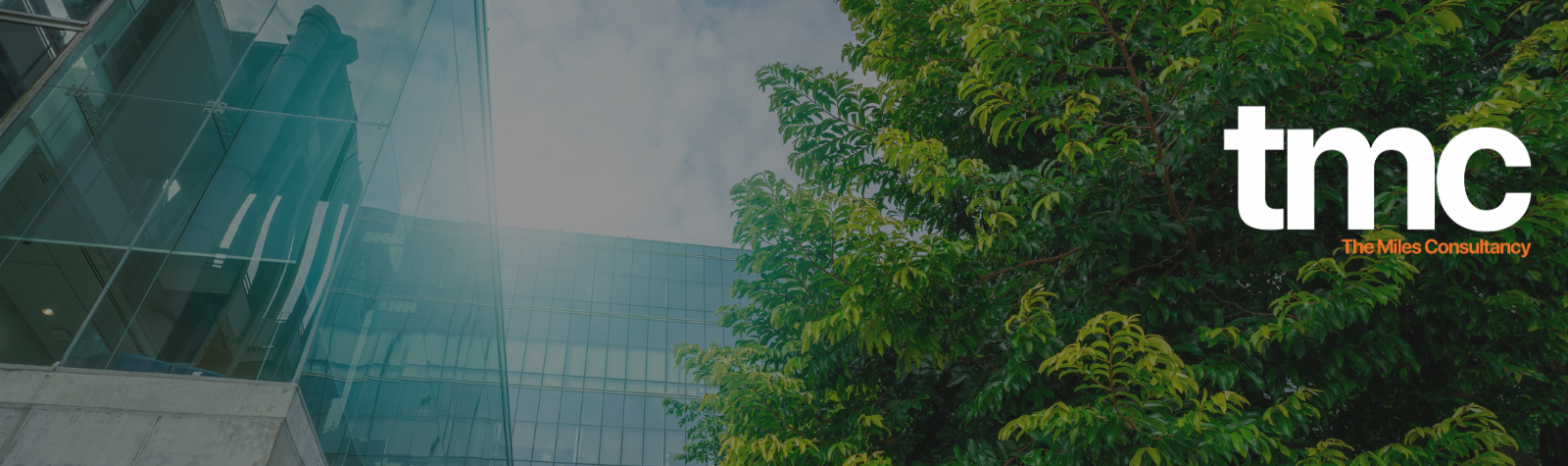 Carbon emissions GREATER for ground transportation than air travel