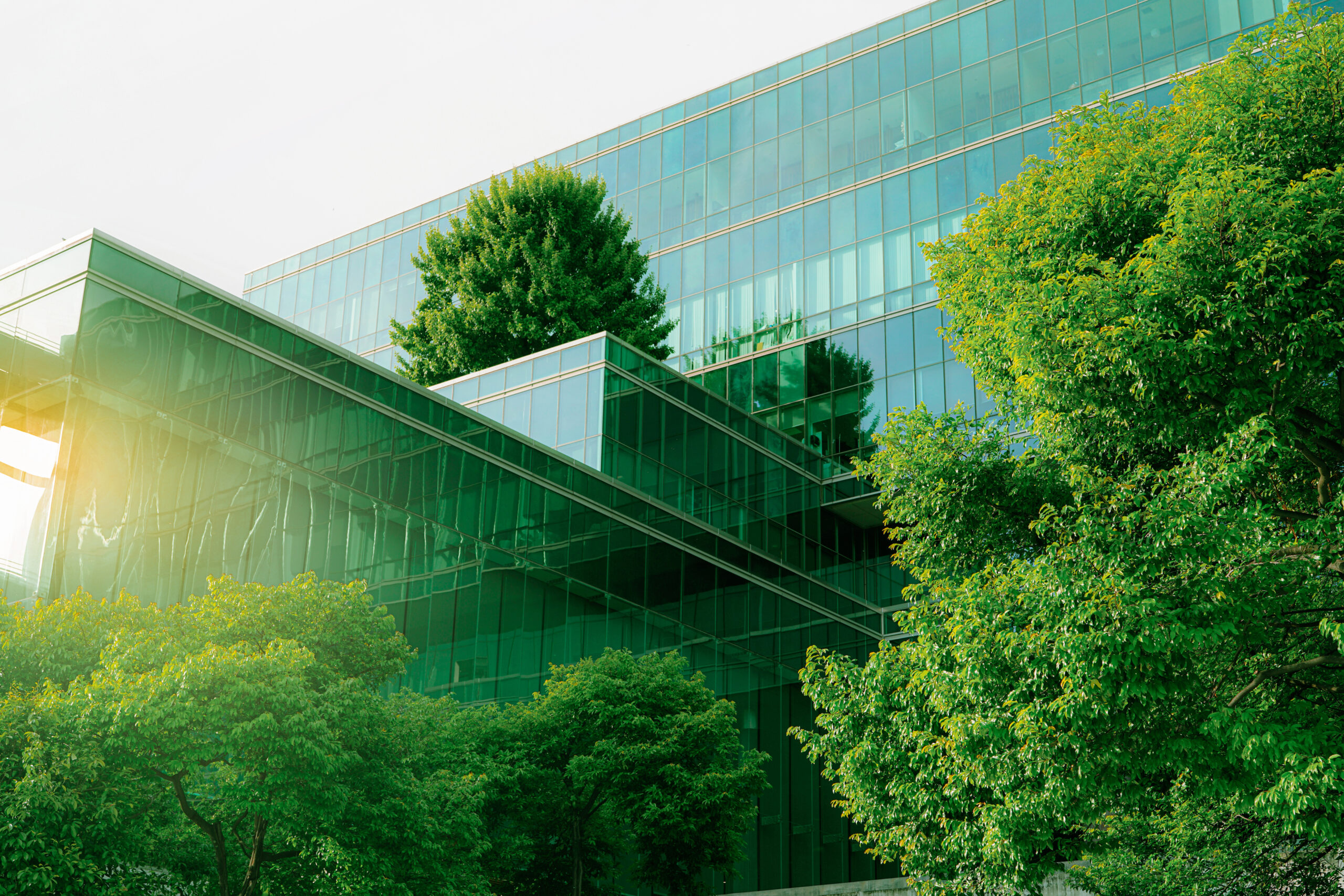 Sustainble green building. Eco friendly building. Sustainable glass office building with tree for reducing carbon dioxide. Office with green environment. Corporate building reduce CO. Safety glass.
